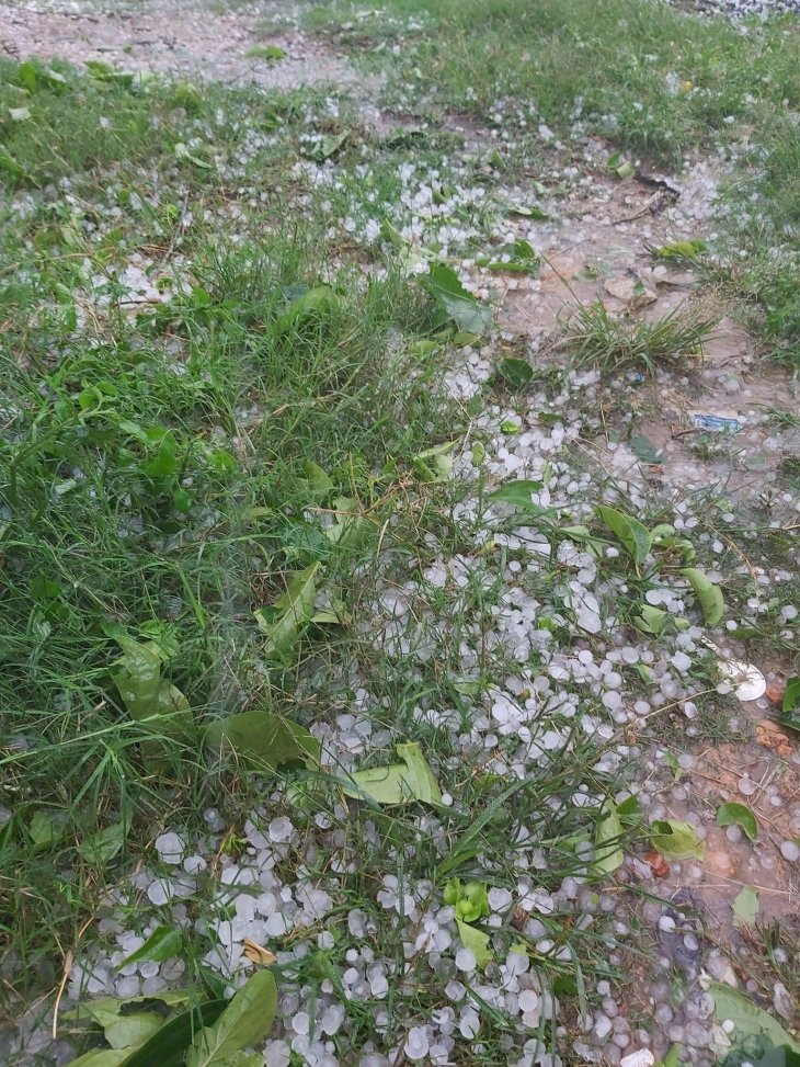 277228272 714398433248761 7626004626507596485 N