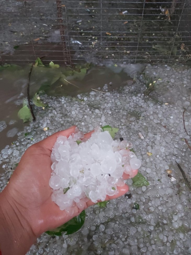 277229807 714398366582101 2393405056872271827 N