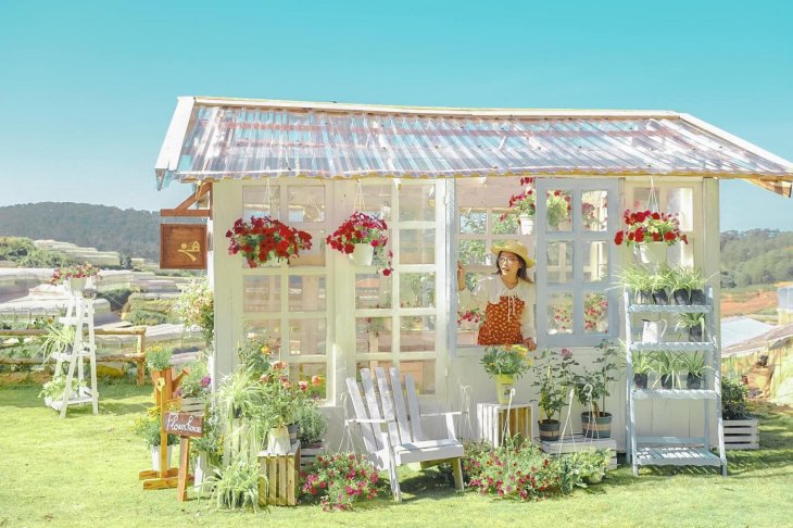 278958503 4929792313800318 4063299735707012894 N