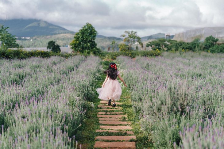 278395916 400155891941430 4275518206802051125 N