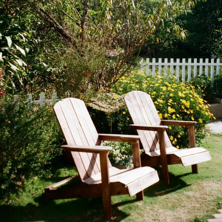 278424952 278218424513614 4967777844678747053 N