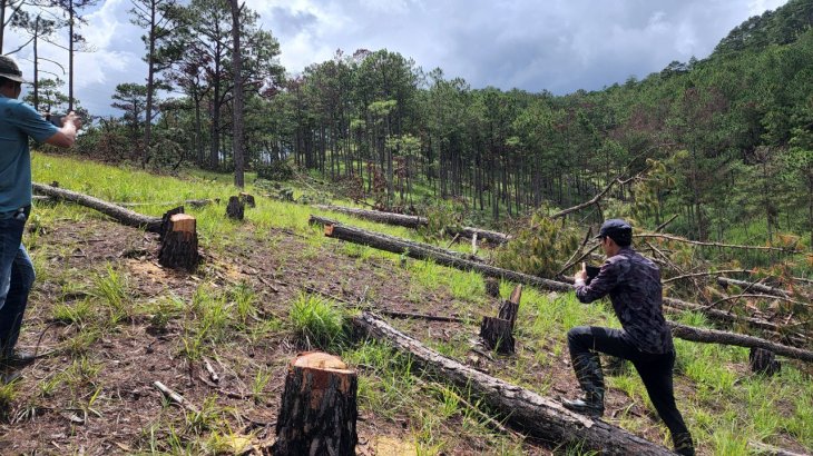 39b377f7655fa401fd4e 9962