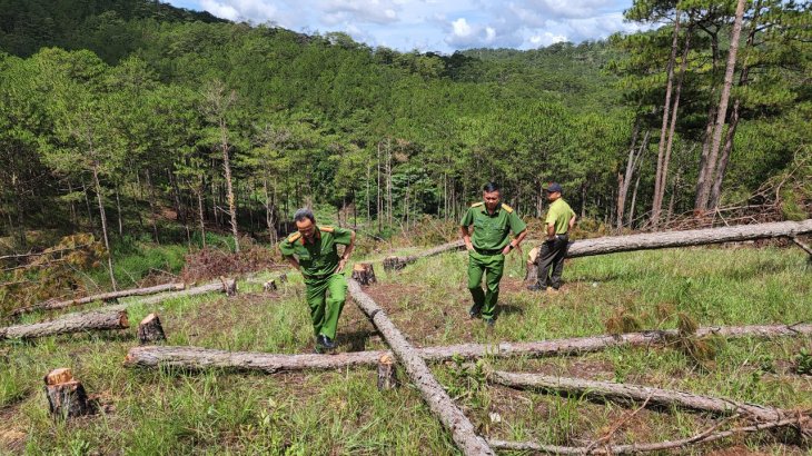 84d175c06768a636ff79 5840