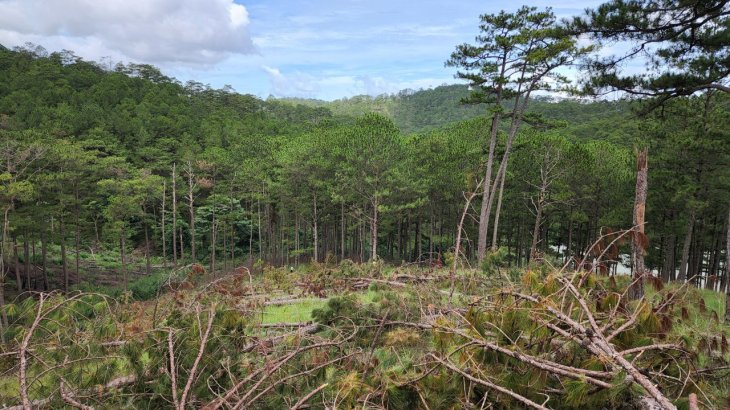 Cf4471d96371a22ffb60 6551