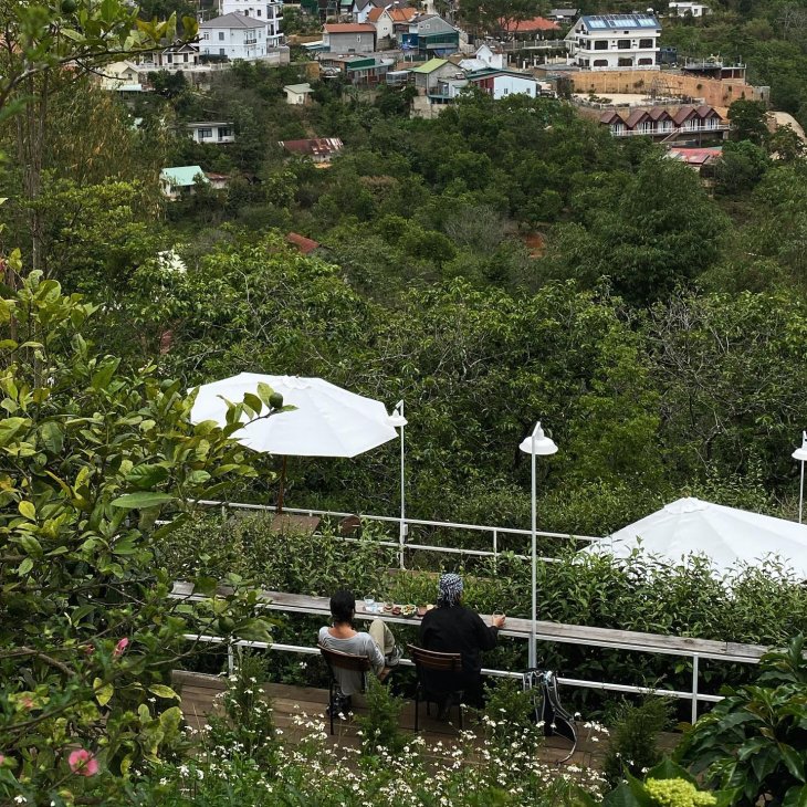 278028433 274170728251717 1021843993417559857 N