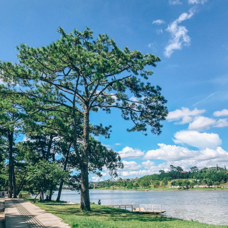 286457049 2478560895613826 4139734239076051741 N