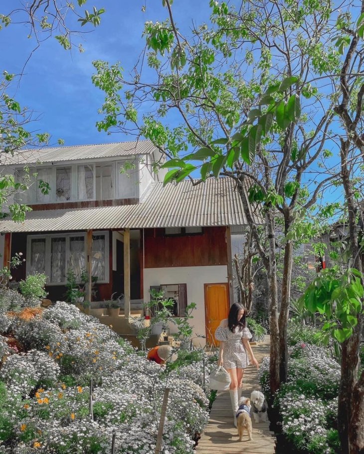 rung nhiet doi cafe dep o da lat