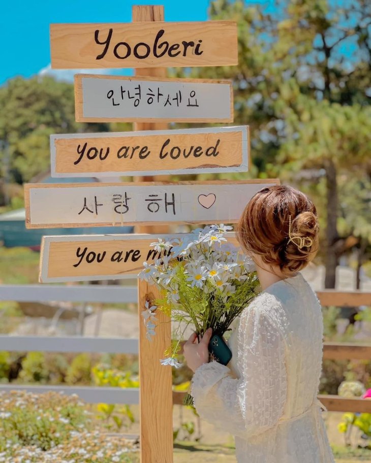 283776804 530129185313504 4696705460660326283 N