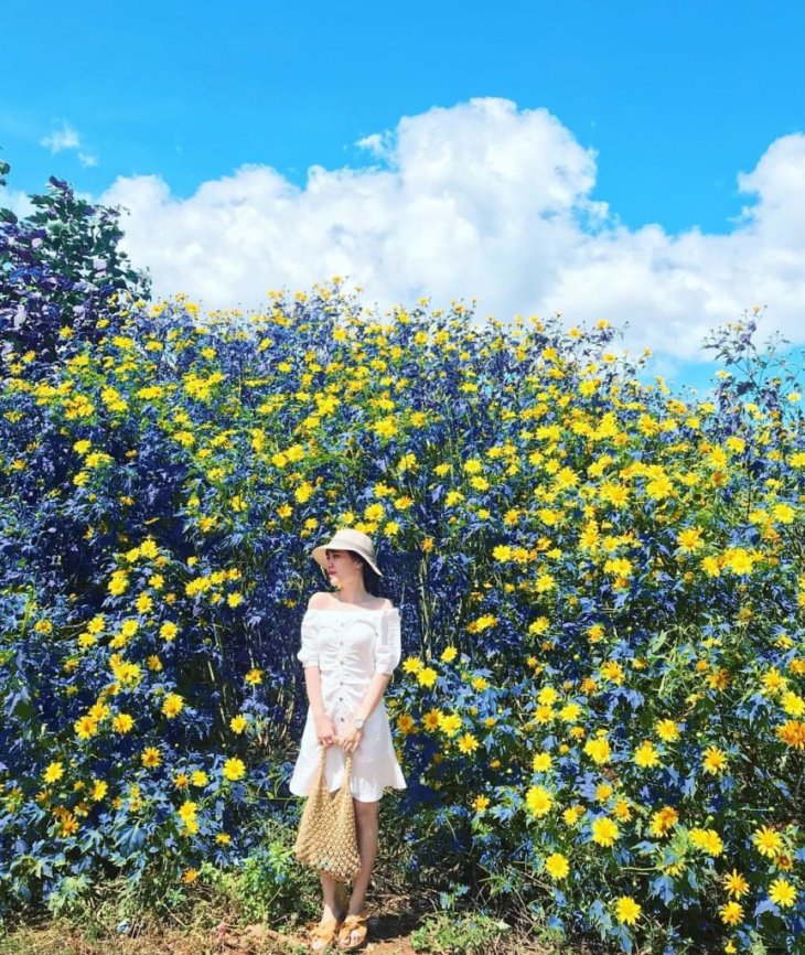 Vay Ngan Di Da Lat Mua He