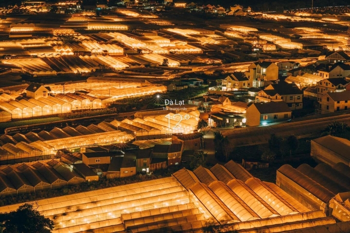 Lang Hoa Thai Phien Ve Dem