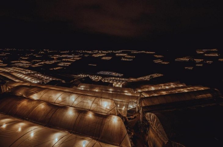 Thung Lung Den Da Lat 12