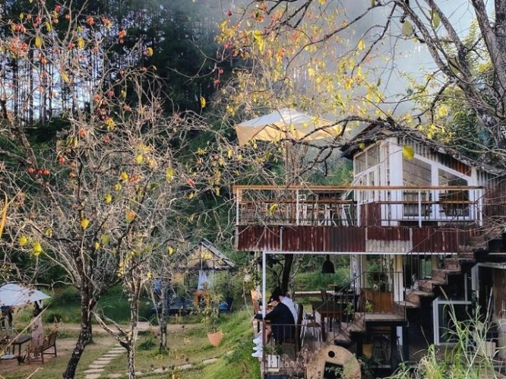 Quan Cafe Noi Tieng Da Lat 15