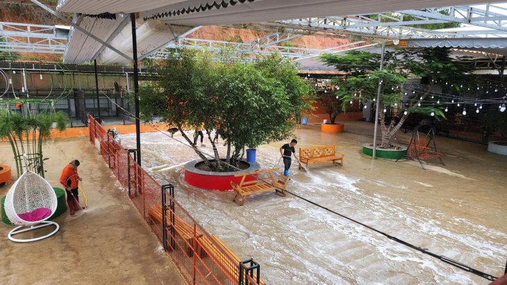 90834c87eb502e0e7741 3803