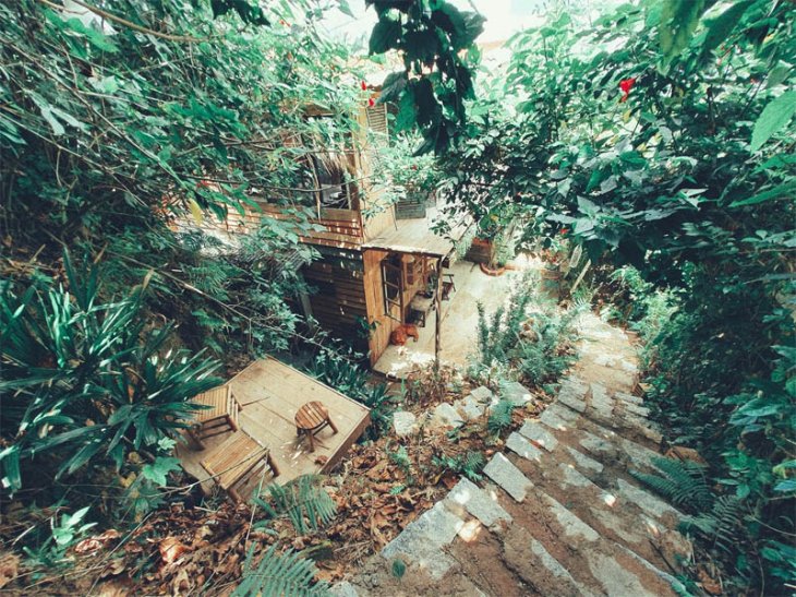 Cafe Rung Thong Da Lat 7