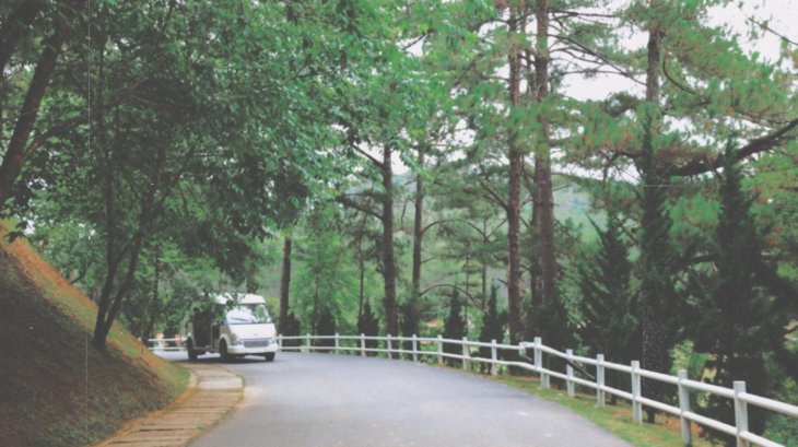 278796435 2791511397823429 6454523671497561448 N