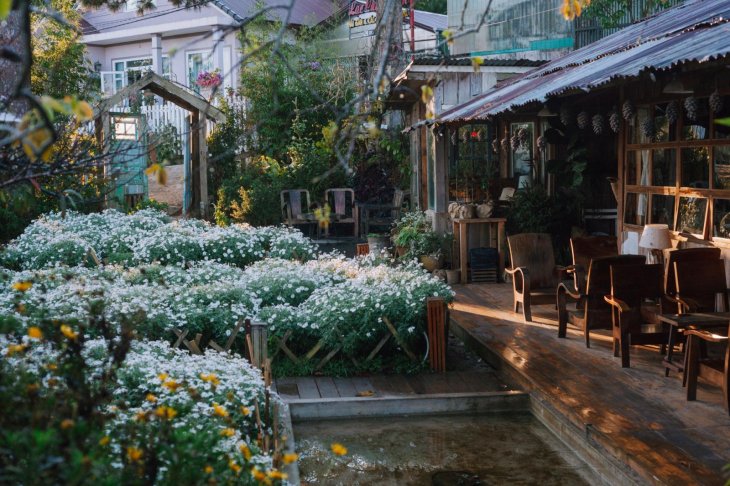 5 Quan Cafe Dep Nhat Da Lat Tui Mo To 2