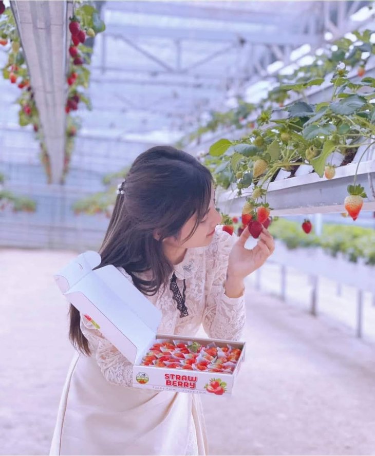 Nong Trai Cun Puppy Farm Da Lat 2