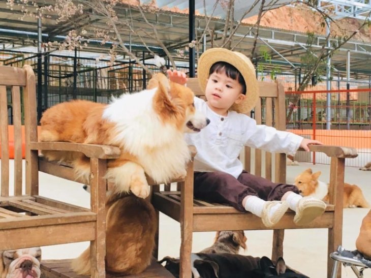 Nong Trai Cun Puppy Farm Da Lat