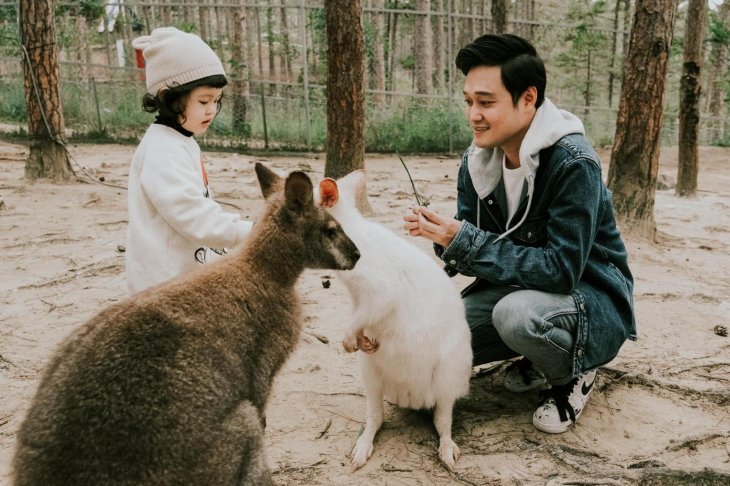 Quan Ca Phe Cho Tre Em Zoodoo Da Lat 1