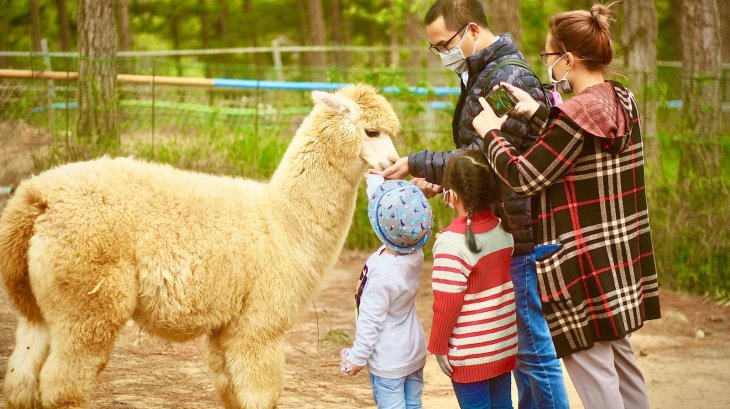 Quan Ca Phe Cho Tre Em Zoodoo Da Lat