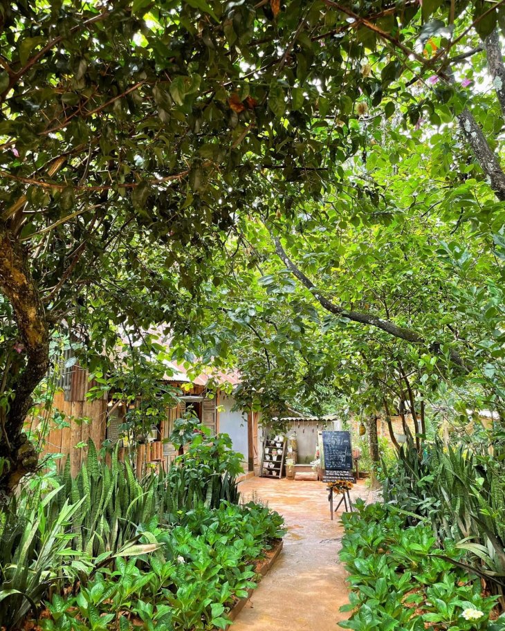 Tiem Ca Phe Nha Ben Suoi 1