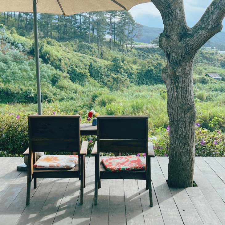 Tiem Ca Phe Trong Rung 1