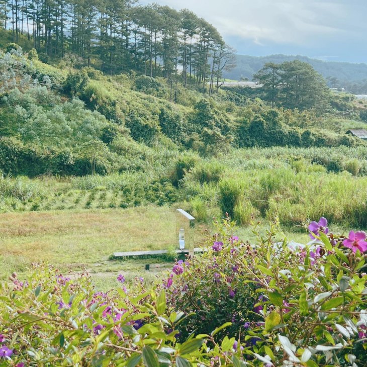 Tiem Ca Phe Trong Rung 2