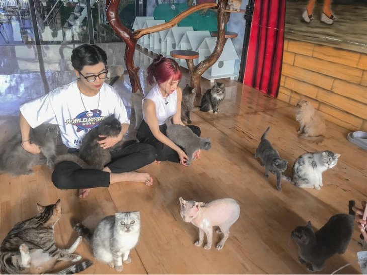 Cafe Cho Da Lat Dream House 2