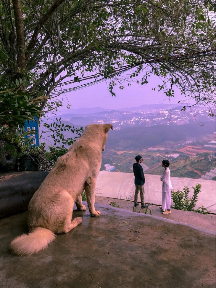 Cafe Cho Da Lat Kong Cafe 1