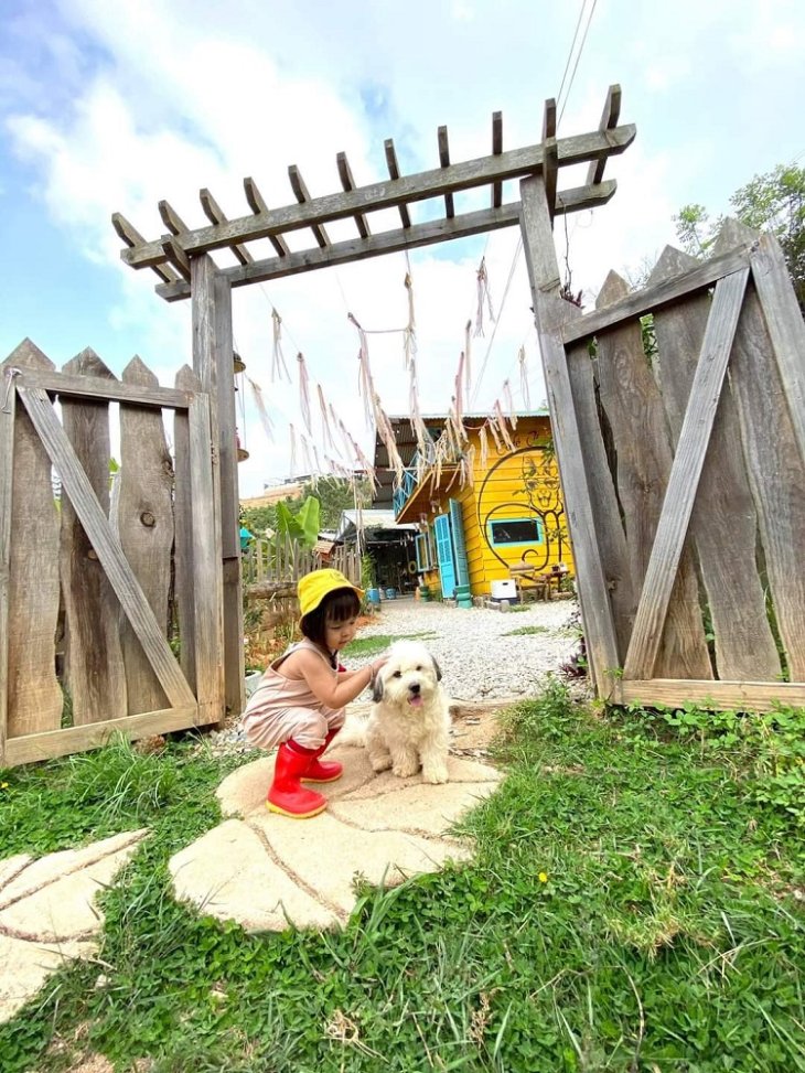 Cafe Cho Da Lat Om Cafe Thu Cung 1