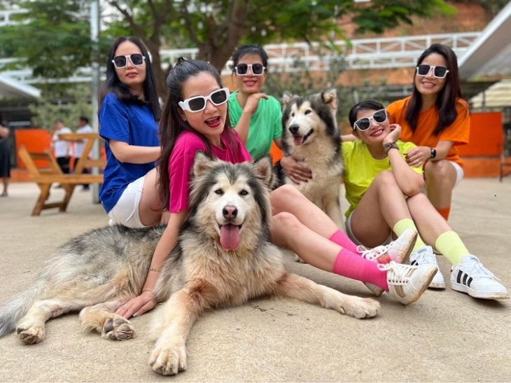 Cafe Cho Da Lat Puppy Farm 1