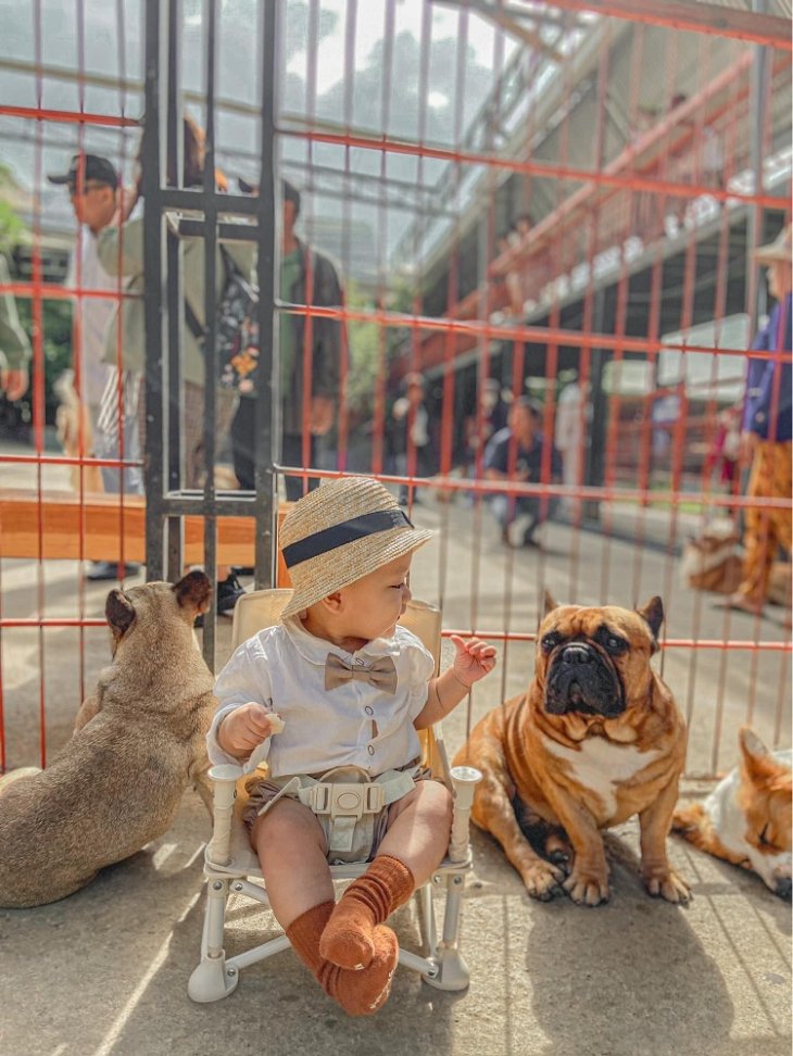 Cafe Cho Da Lat Puppy Farm 2