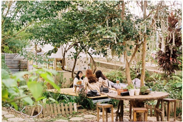 Cafe Cho Da Lat Quan Khong Co Con Meo