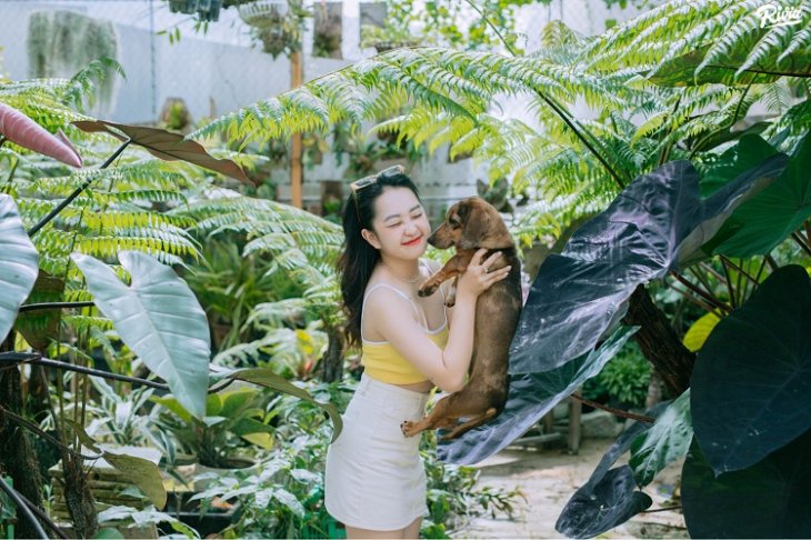 Cafe Cho Da Lat Vuon Cua Cun Puppy Garden 1