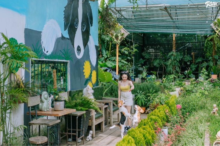 Cafe Cho Da Lat Vuon Cua Cun Puppy Garden