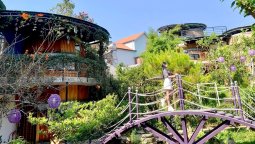 Độc - lạ homestay Đà Lạt, cứ ghé thăm được thử rượu vang miễn phí