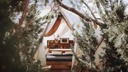 Nắm trong tay 5 homestay Đà Lạt giá rẻ cho mùa lễ