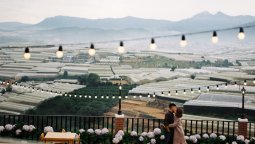 Gợi ý những homestay ngắm trọn view nhà lồng Đà Lạt