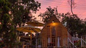 In The Pines Homestay Đà Lạt có thật sự đẹp và mơ mộng như lời đồn?