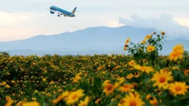 Giá vé máy bay Đà Lạt tháng 12/2024: Mẹo săn vé rẻ thưởng Festival Hoa