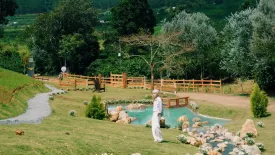 The Wilder Nest Tà Nung: Một góc thơ mộng giữa lòng Đà Lạt