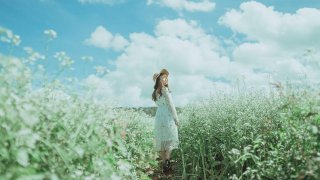 Đẹp đến nao lòng cánh đồng hoa cải trắng Đà Lạt