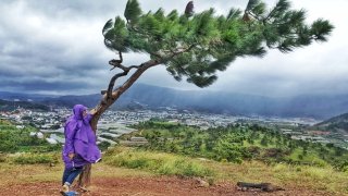 Thời tiết Đà Lạt tháng 7 và kinh nghiệm ăn uống, vui chơi hợp lý