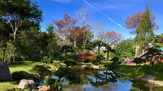 Khu du lịch lá phong - "Vườn địa đàng" nơi hạ giới có gì hấp dẫn?