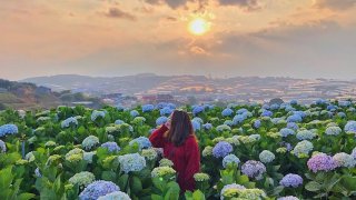 Du lịch canh nông - định hướng phát triển nền du lịch Đà Lạt