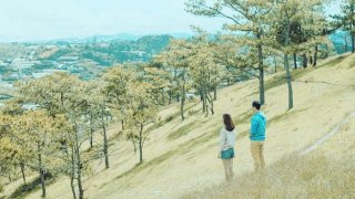 Thơ hơn phim trường đồi Đa Phú "tình bể bình" ở Đà Lạt