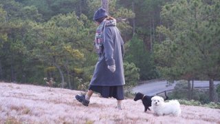 Niềm hạnh phúc của các "boss" khi được "sen" dẫn đi du lịch Đà Lạt