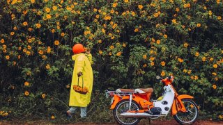 'Cười ra nước mắt' với trang phục check-in Đà Lạt mùa mưa của giới trẻ