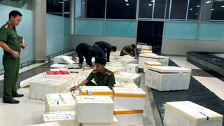 Bắt giữ 8,3 tấn dâu tây vận chuyển lậu tại Cảng hàng không Liên Khương