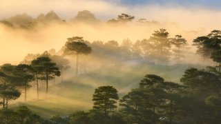 Thèm chút hơi lạnh bình yên giữa những bộn bề phố thị